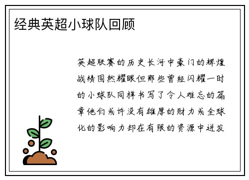 经典英超小球队回顾
