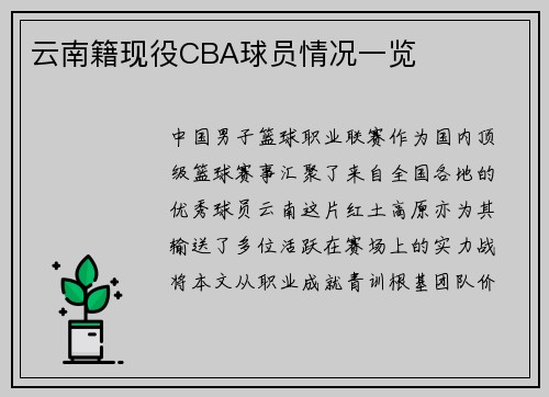 云南籍现役CBA球员情况一览